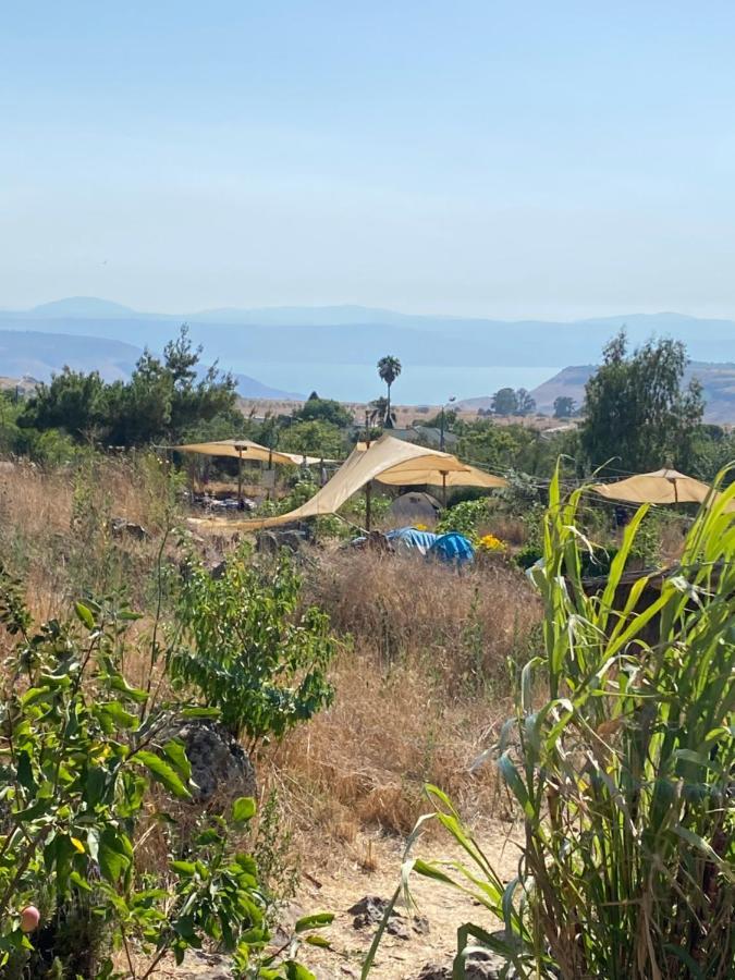 Suite Truck- Natura Eco Farm Ngoại thất bức ảnh