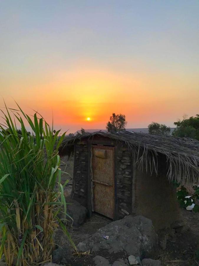 Suite Truck- Natura Eco Farm Ngoại thất bức ảnh